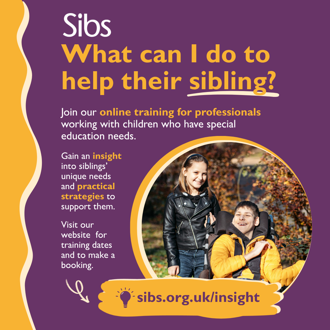 Sibs - insight training - general